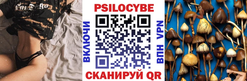 купить наркотик  Новосибирск  Галлюциногенные грибы Psilocybe 